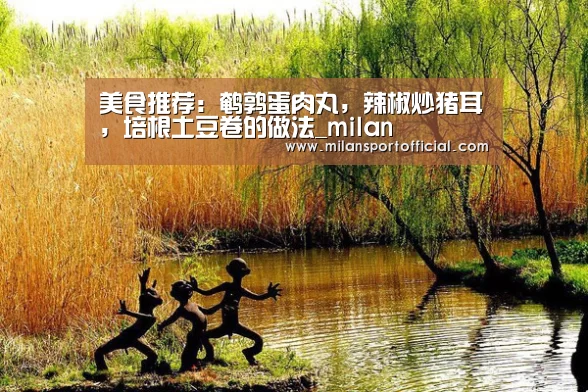 美食推荐:鹌鹑蛋肉丸,辣椒炒猪耳,培根土豆卷的做法_milan(图4) 米兰app