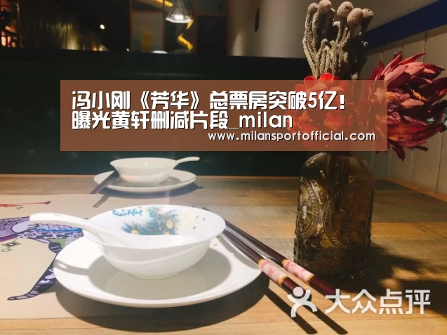 冯小刚《芳华》总票房突破5亿! 曝光黄轩删减片段_milan(图2) 米兰app