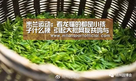 米兰运动:看龙猫的都是小孩子什么梗 引起大批网友共鸣与讨论(图1) 米兰app