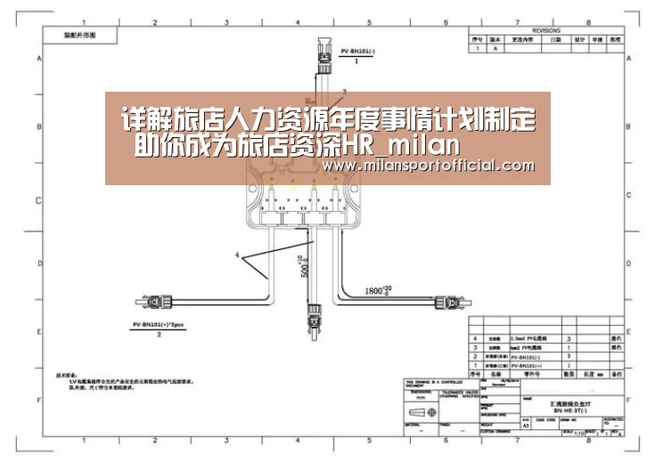 详解旅店人力资源年度事情计划制定 助你成为旅店资深HR_milan(图1) 米兰app