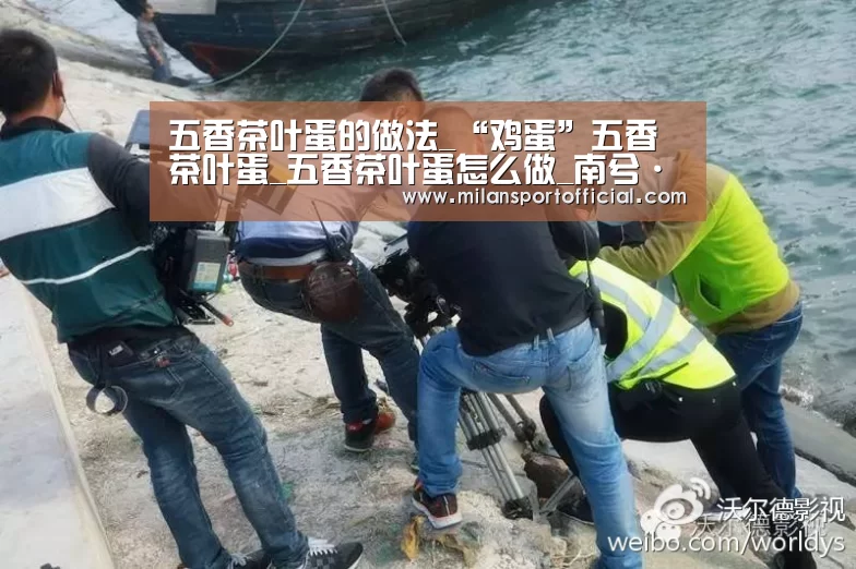 五香茶叶蛋的做法_“鸡蛋”五香茶叶蛋_五香茶叶蛋怎么做_南兮·人间烟火的菜谱“milan”(图1) 五香茶叶蛋的做法_“鸡蛋”五香茶叶蛋_五香茶叶蛋怎么做_南兮·人间烟火的菜谱“milan”(图1)
