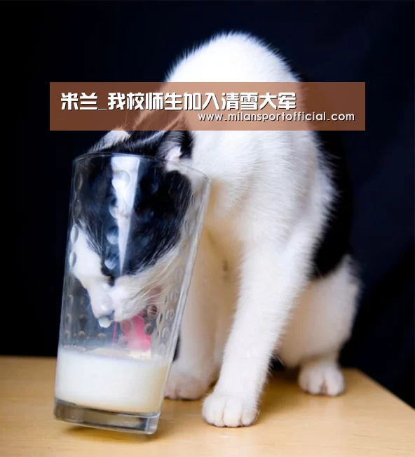米兰_我校师生加入清雪大军(图1) 米兰_我校师生加入清雪大军(图1)