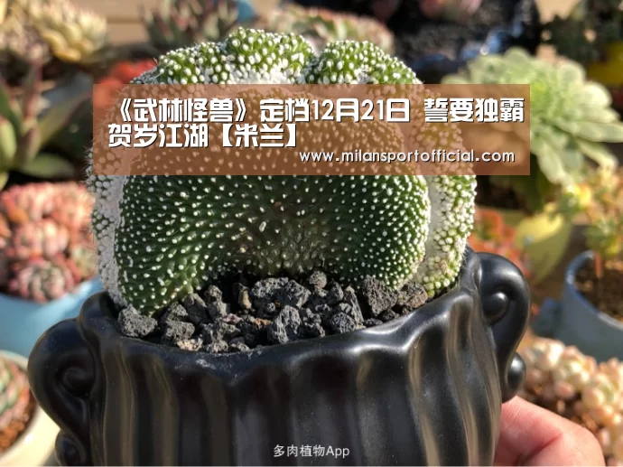 《武林怪兽》定档12月21日 誓要独霸贺岁江湖【米兰】(图1) 米兰运动