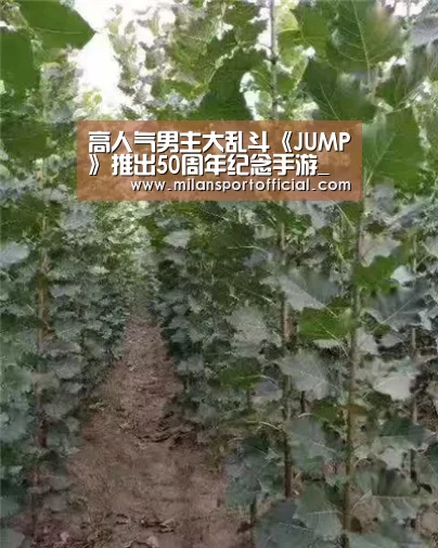 高人气男主大乱斗《JUMP》推出50周年纪念手游_米兰app(图4) 米兰