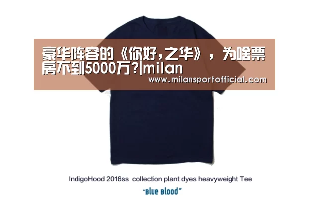 豪华阵容的《你好,之华》，为啥票房不到5000万?|milan(图2)