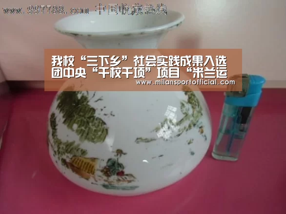 我校“三下乡”社会实践成果入选团中央“千校千项”项目“米兰运动”(图2) 米兰